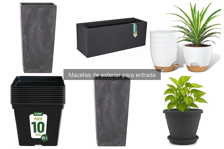 Ventajas de usar macetas de exterior en entradas