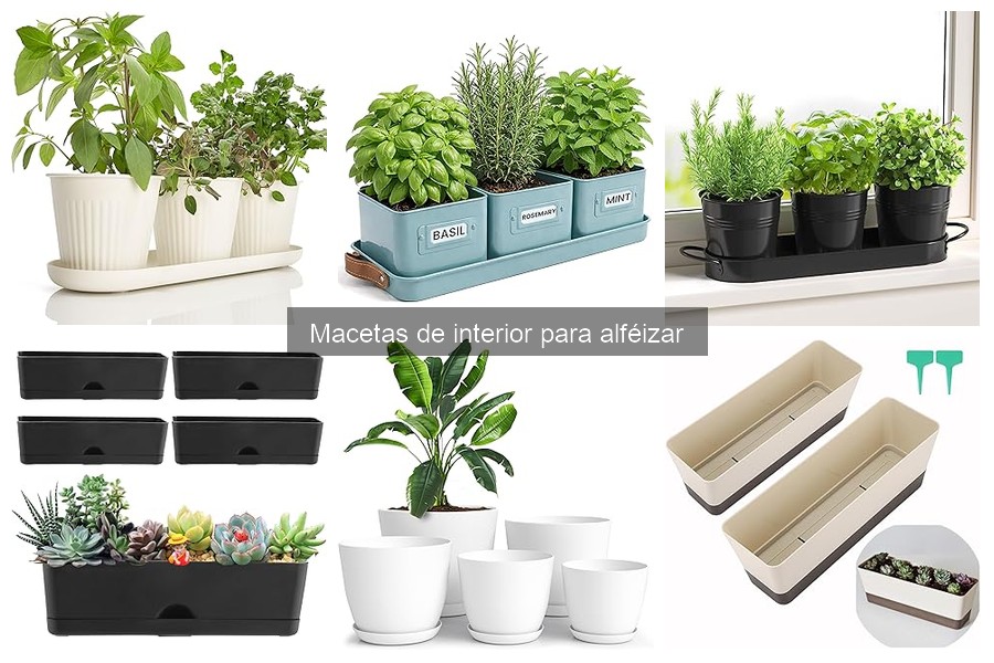 Ventajas de usar macetas de interior para alféizar