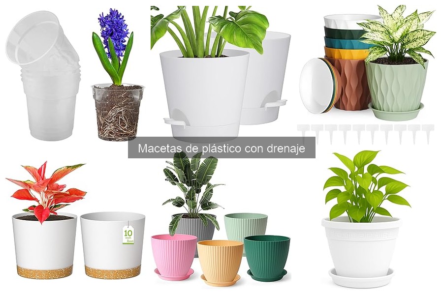 Ventajas de usar macetas de plástico con drenaje en interiores
