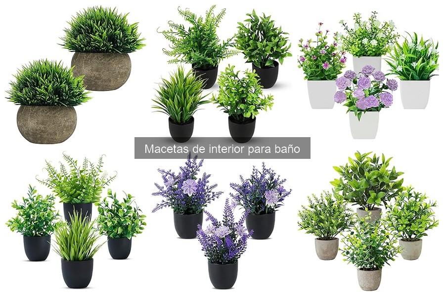 Ventajas de usar macetas en el baño para mejorar el ambiente
