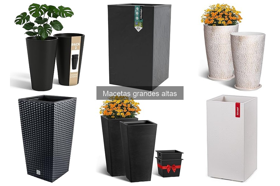 Ventajas de usar macetas grandes altas para tus plantas