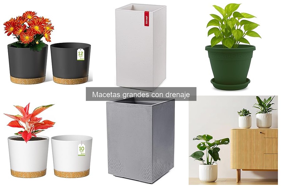 Ventajas de usar macetas grandes con drenaje para tus plantas