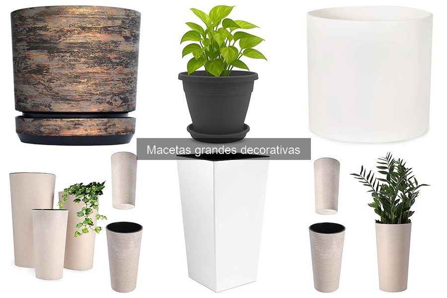 Ventajas de usar macetas grandes decorativas en interiores