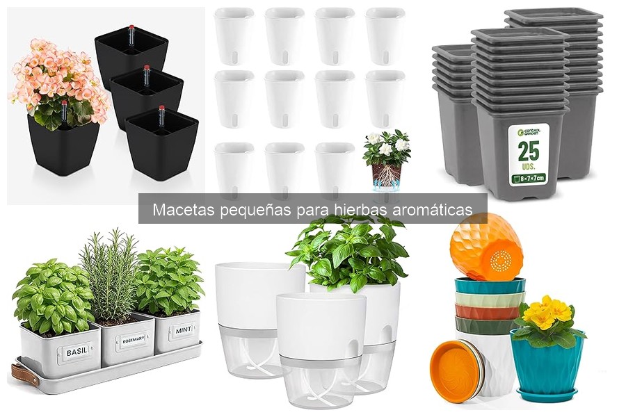 Ventajas de usar macetas pequeñas para hierbas aromáticas