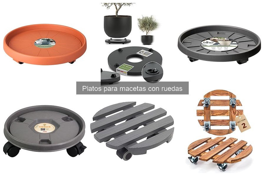Ventajas de usar platos para macetas con ruedas