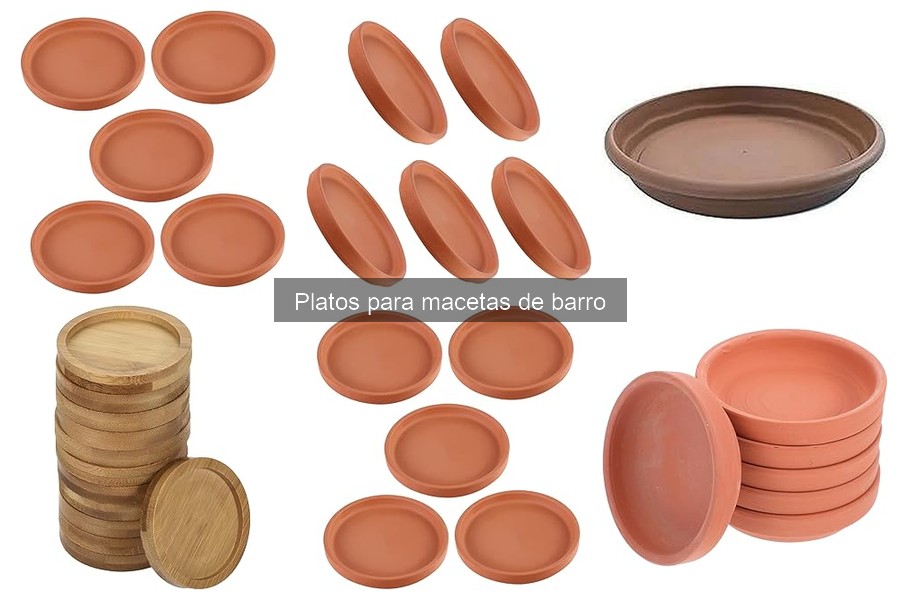 Ventajas de Usar Platos para Macetas de Barro en Jardines