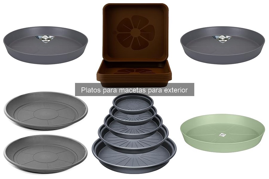 Ventajas de Usar Platos para Macetas en Exteriores