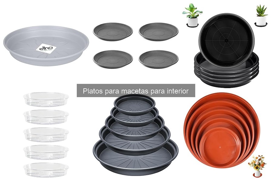Ventajas de Usar Platos para Macetas en tu Hogar