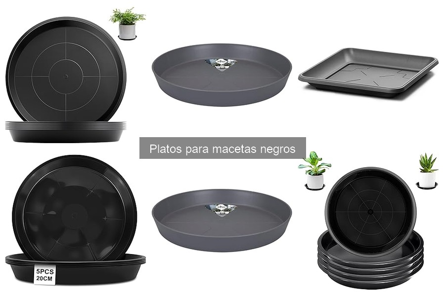Ventajas de Usar Platos para Macetas Negros en Jardines