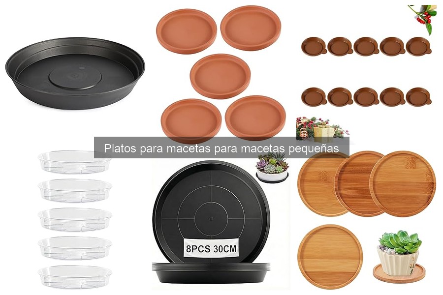 Ventajas de usar platos para macetas pequeñas en interiores