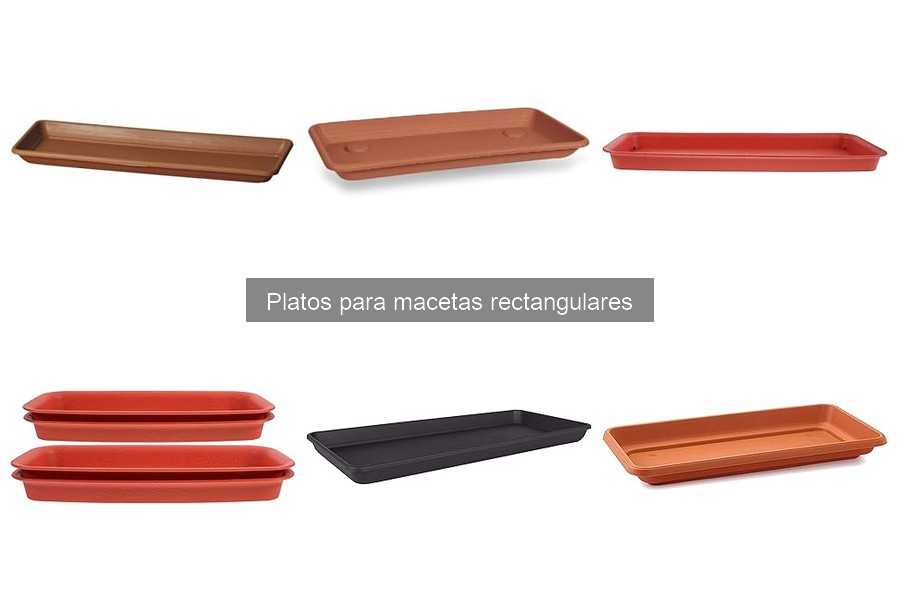 Ventajas de usar platos para macetas rectangulares