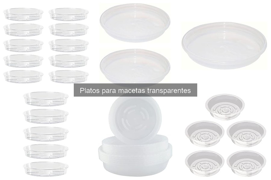 Ventajas de usar platos transparentes para macetas