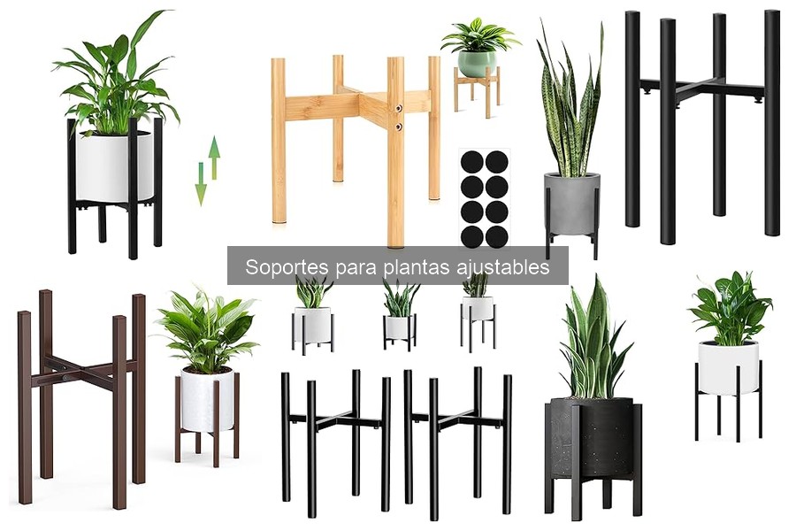 Ventajas de Usar Soportes para Plantas Ajustables