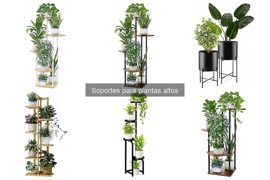 Ventajas de usar soportes para plantas altos en tu hogar