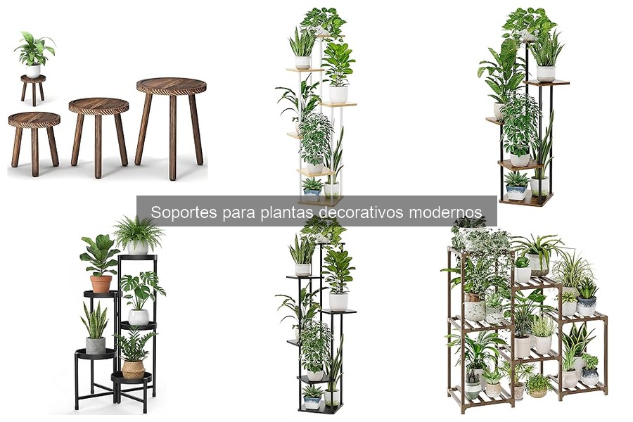 Ventajas de usar soportes para plantas decorativos modernos