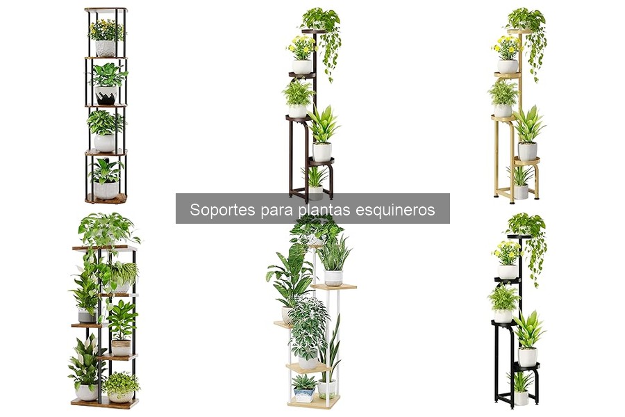 Ventajas de Usar Soportes para Plantas Esquineros en Casa