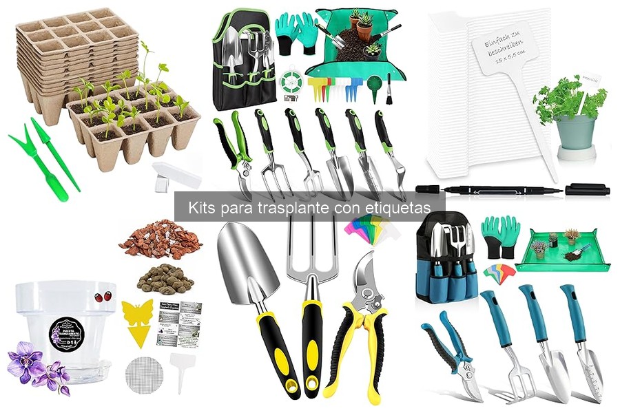 Ventajas de Usar un Kit para Trasplante con Etiquetas