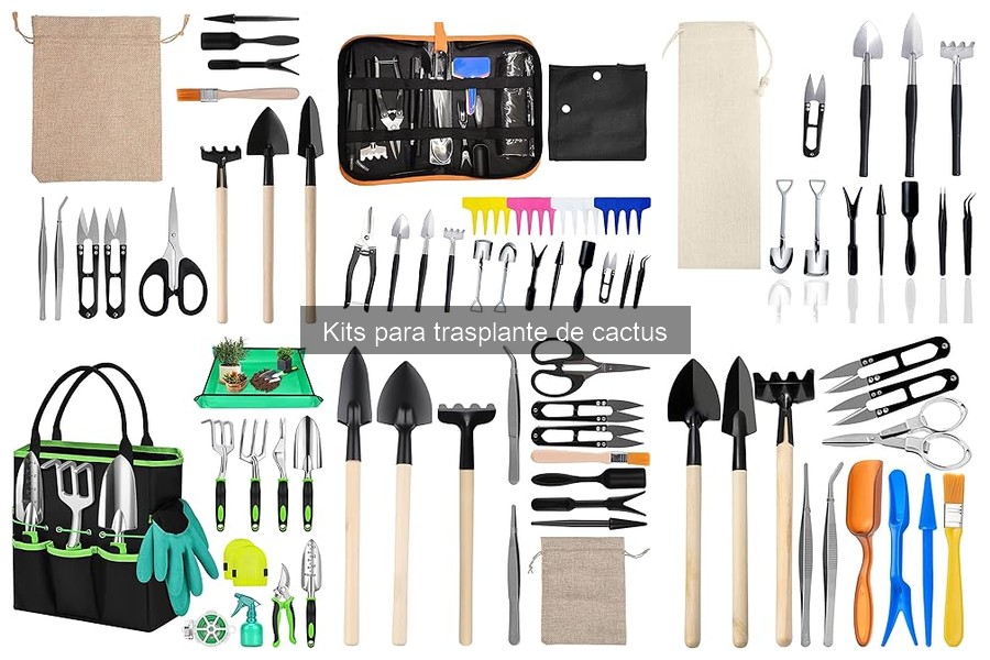 Ventajas de usar un kit para trasplante de cactus