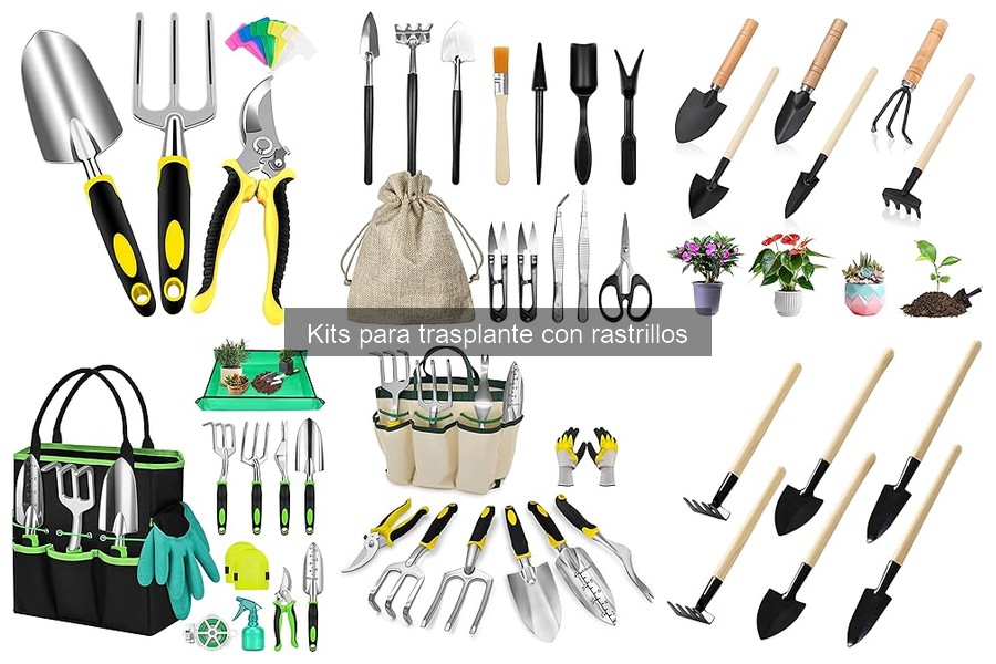 Ventajas de Usar un Kit para Trasplante de Jardinería