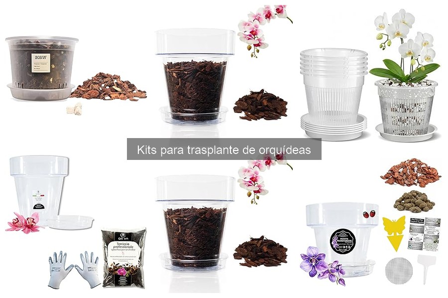 Ventajas de usar un kit para trasplante de orquídeas