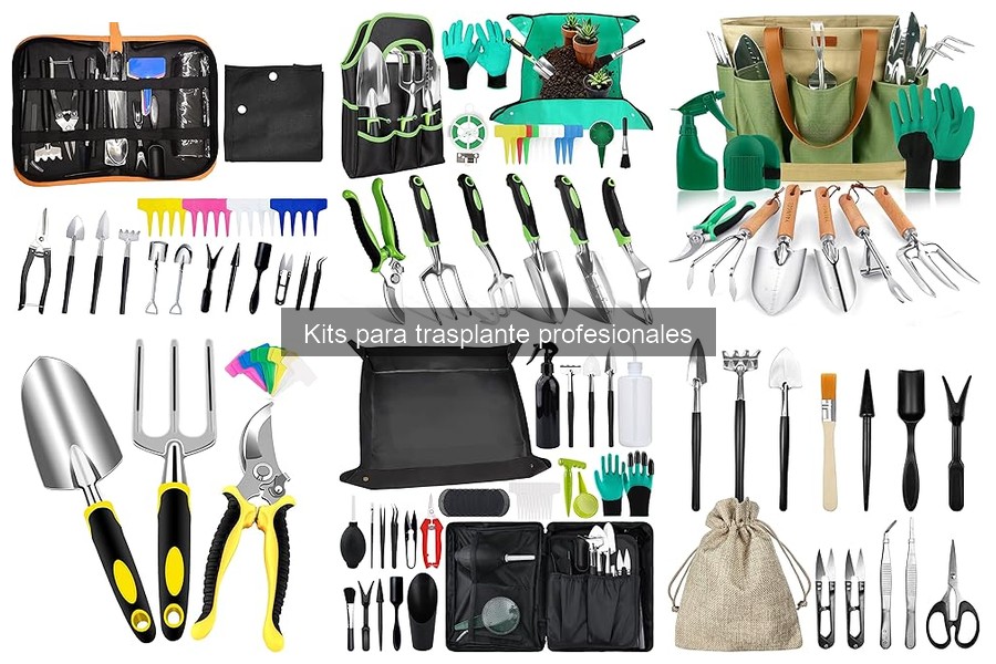Ventajas de usar un kit para trasplante profesional