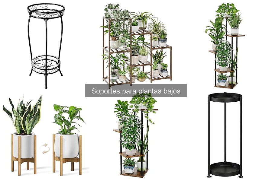 Ventajas de Utilizar Soportes para Plantas Bajos en Casa