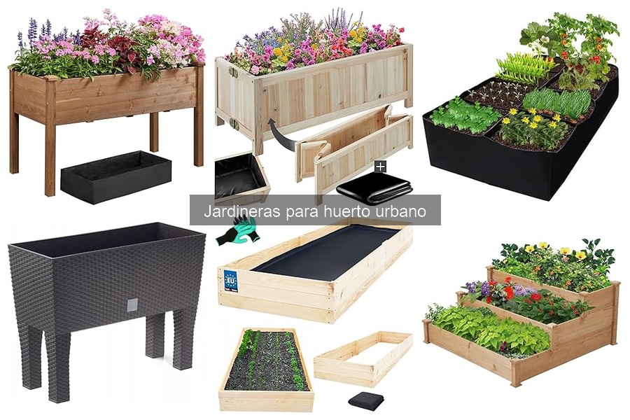 Ventajas y desventajas de jardineras para huerto urbano