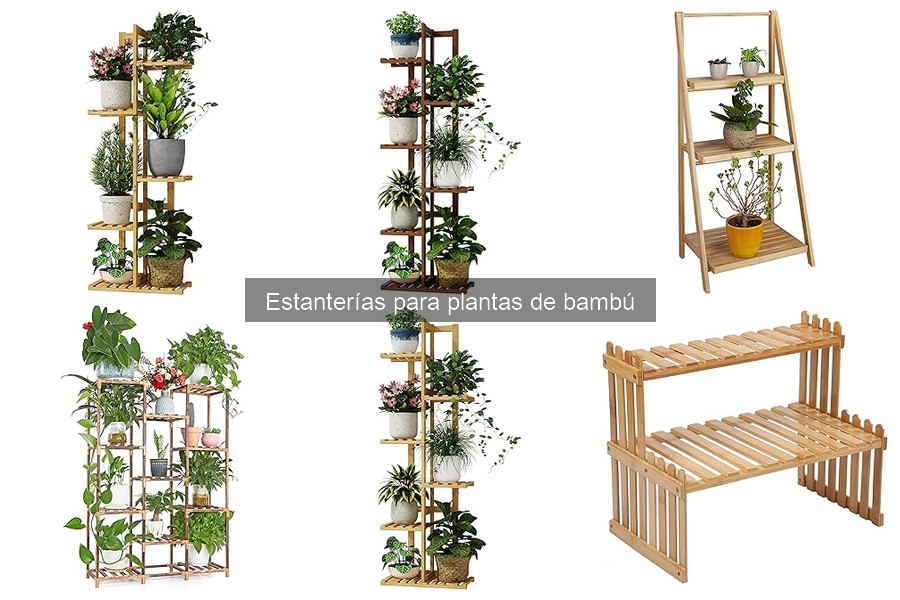 Ventajas y desventajas de las estanterías para plantas de bambú