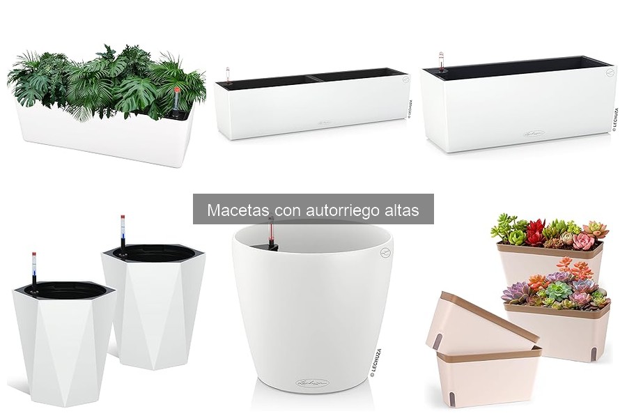 Ventajas y Desventajas de las Macetas con Autorriego Altas