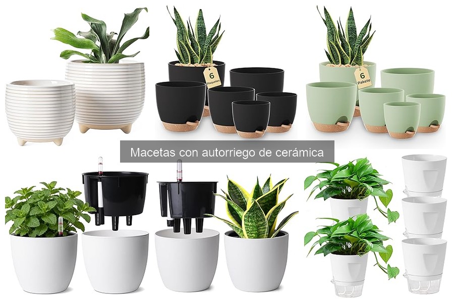 Ventajas y desventajas de las macetas con autorriego de cerámica