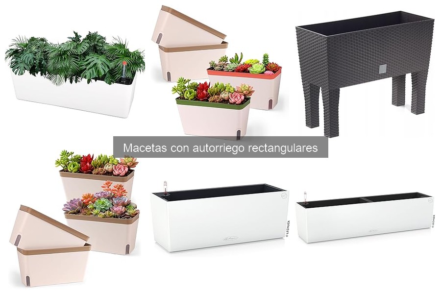 Ventajas y desventajas de las macetas con autorriego rectangulares