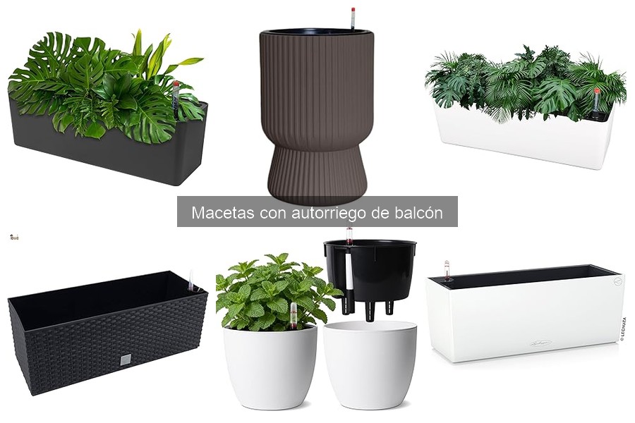 Ventajas y Desventajas de las Macetas con Autorriego