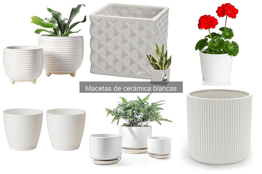 Ventajas y Desventajas de las Macetas de Cerámica Blancas