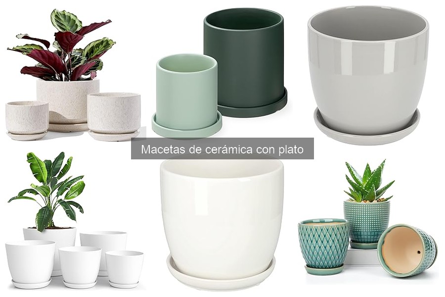 Ventajas y desventajas de las macetas de cerámica con plato