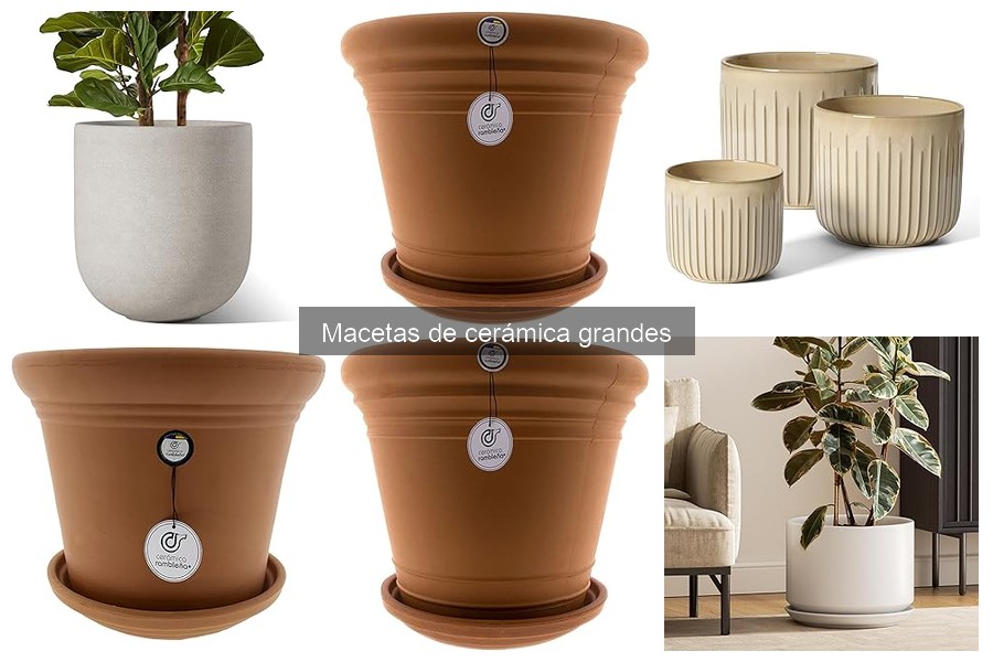 Ventajas y desventajas de las macetas de cerámica grandes