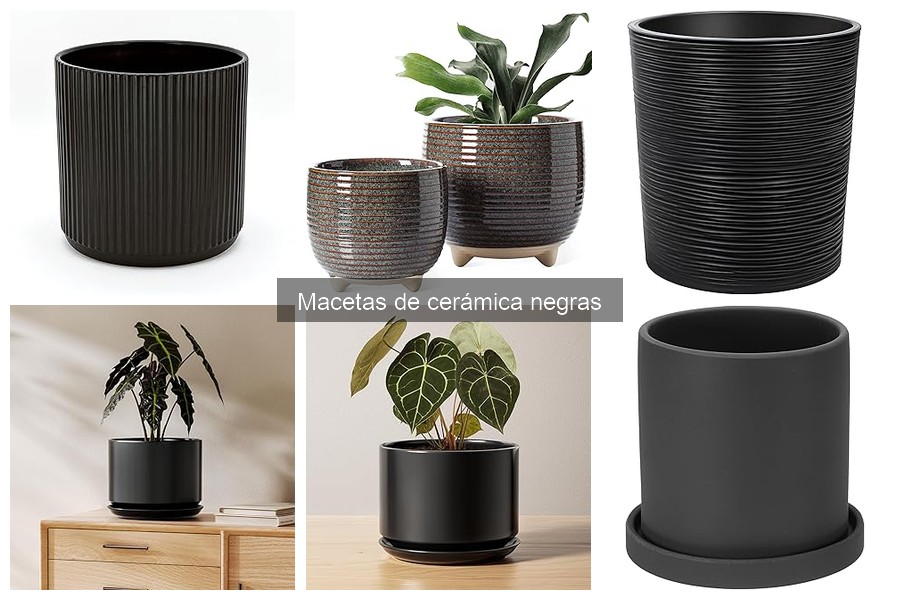 Ventajas y desventajas de las macetas de cerámica negras