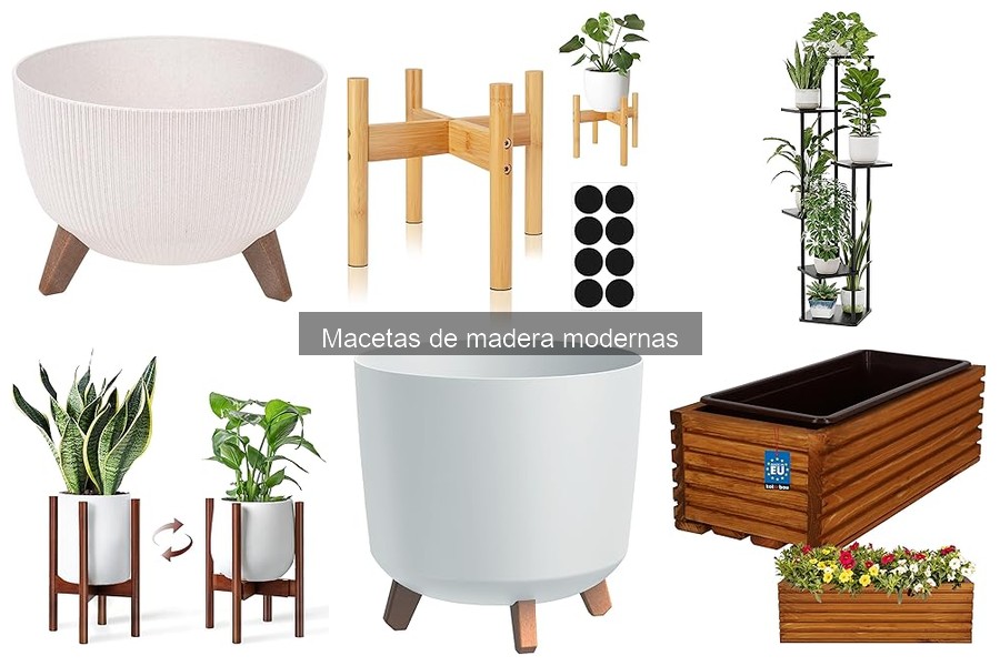 Ventajas y desventajas de las macetas de madera modernas