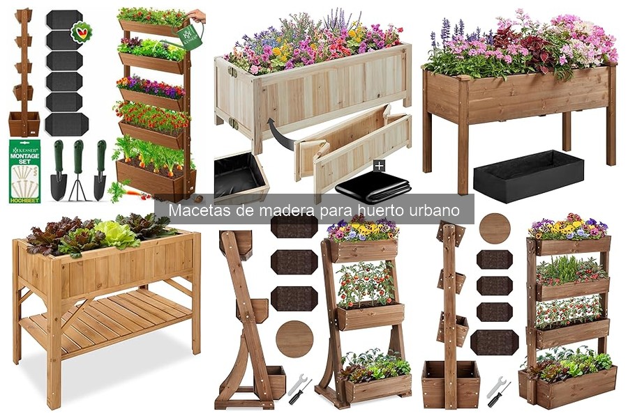 Ventajas y Desventajas de las Macetas de Madera para Cultivo Urbano