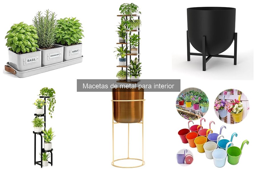 Ventajas y Desventajas de las Macetas de Metal para Interior