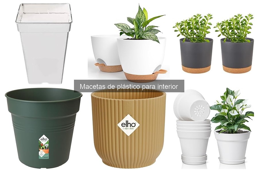 Ventajas y desventajas de las macetas de plástico para interior
