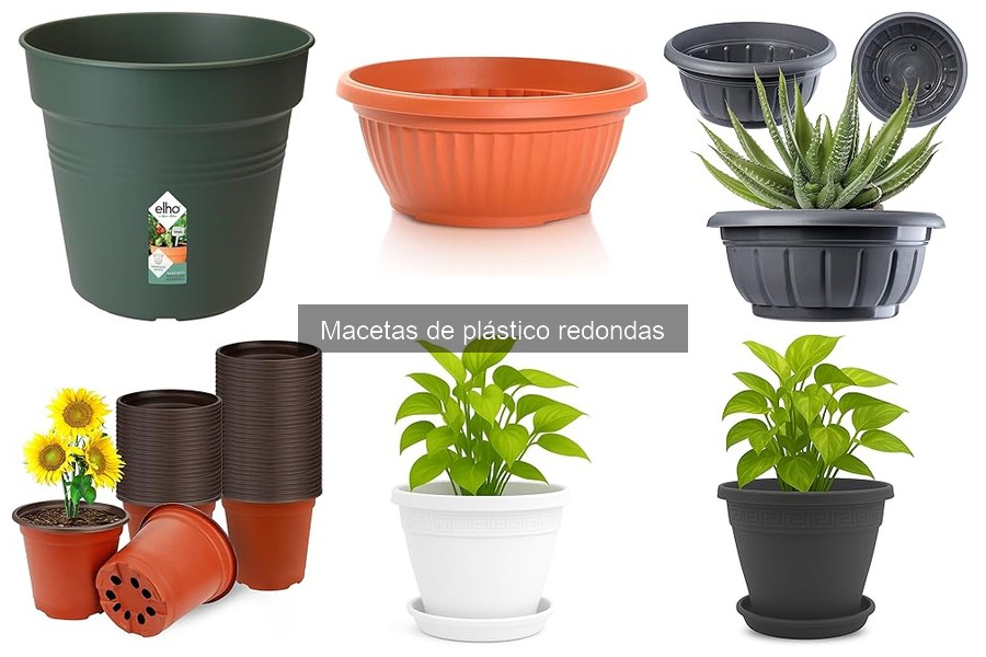 Ventajas y desventajas de las macetas de plástico redondas