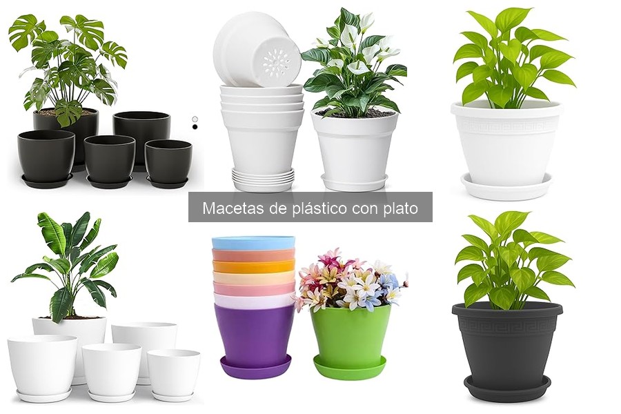 Ventajas y desventajas de las macetas de plástico