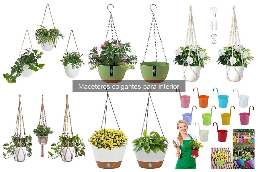 Ventajas y desventajas de los maceteros colgantes para interior