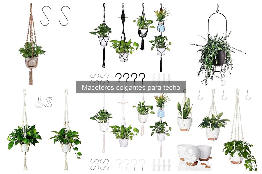 Ventajas y desventajas de los maceteros colgantes
