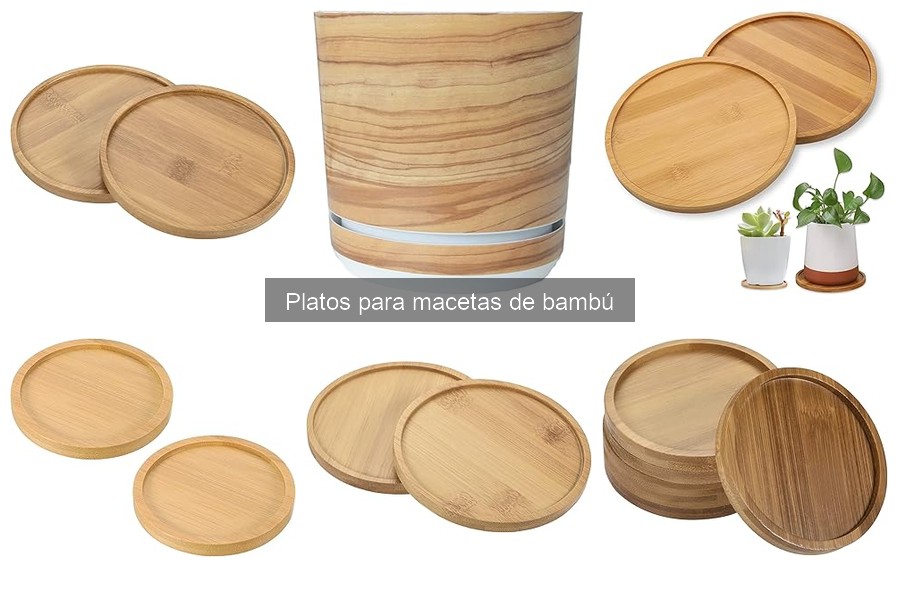 Ventajas y Desventajas de los Platos para Macetas de Bambú