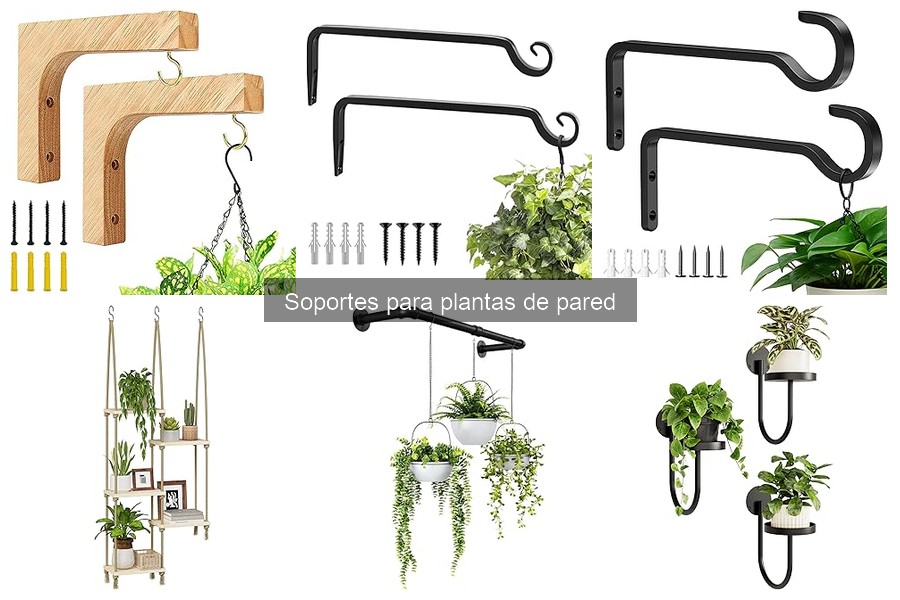 Ventajas y desventajas de los soportes para plantas de pared