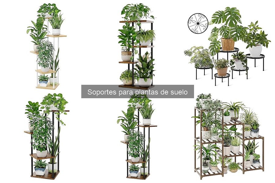 Ventajas y desventajas de los soportes para plantas de suelo