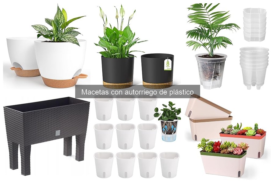 Ventajas y desventajas de macetas con autorriego de plástico