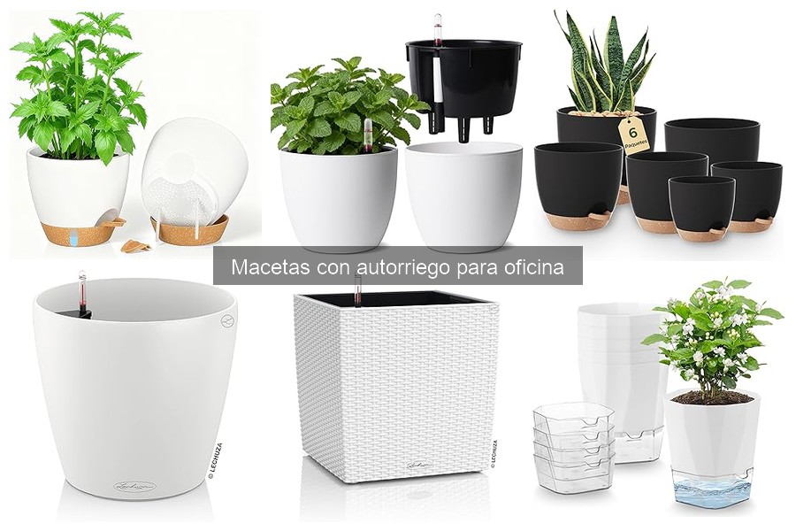 Ventajas y Desventajas de Macetas con Autorriego para Oficina