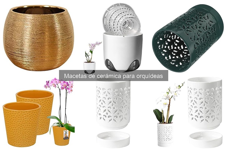 Ventajas y desventajas de macetas de cerámica para orquídeas